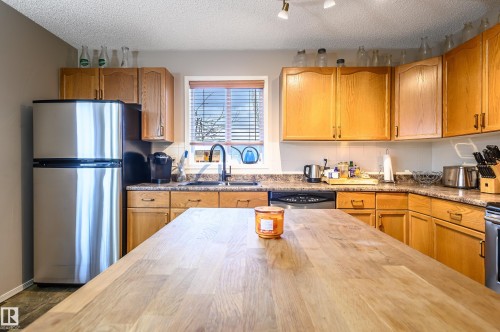 5428 202 Street, Edmonton, AB - Indoor Photo Showing Kitchen With Double Sink