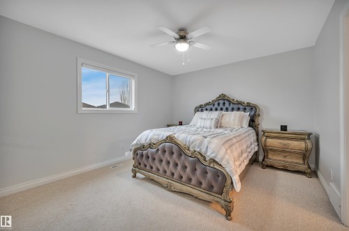183 Castle Drive, Edmonton, AB - Indoor Photo Showing Bedroom