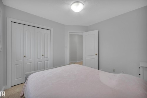 183 Castle Drive, Edmonton, AB - Indoor Photo Showing Bedroom