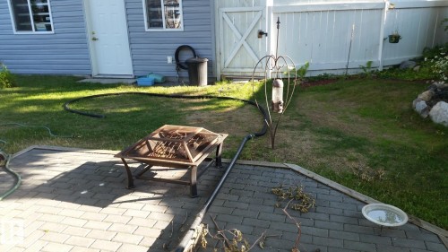 16305 109A Avenue, Edmonton, AB - Outdoor