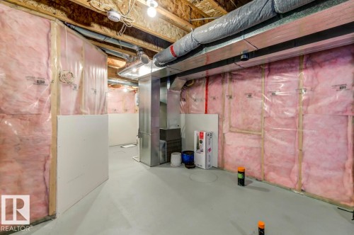 5487 Crabapple Loop Sw, Edmonton, AB - Indoor Photo Showing Basement