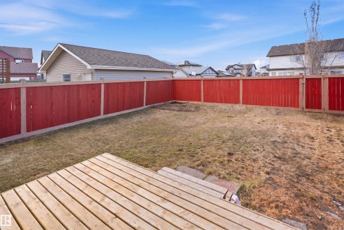 Spacious backyard with a vibrant red privacy fence, featuring a wooden deck and ample green space - 1124 37A Avenue, Edmonton, AB - Outdoor