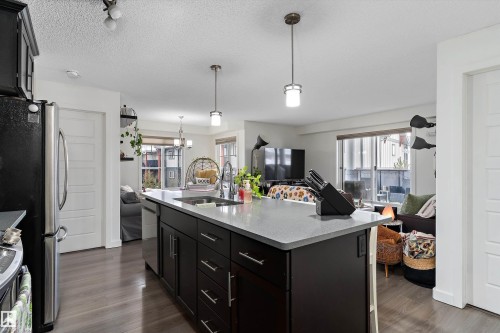 402 6084 Stanton Drive, Edmonton, AB - Indoor Photo Showing Kitchen With Double Sink