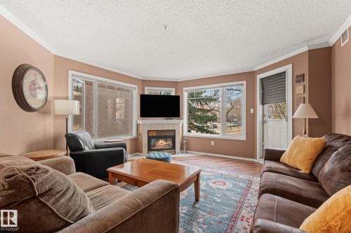 203 8909 100 Street, Edmonton, AB - Indoor Photo Showing Living Room With Fireplace