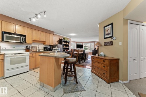 203 8909 100 Street, Edmonton, AB - Indoor Photo Showing Kitchen
