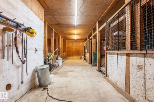 Indoor barn corridor featuring multiple stalls, concrete flooring, and exposed wood beams - 23127 Twp Rd 502, Rural Leduc County, AB - Indoor Photo Showing Other Room