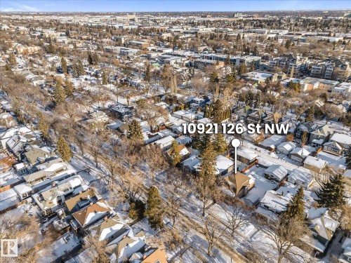 Aerial perspective showcasing a residential street with mature trees - 10921 126 Street, Edmonton, AB - Outdoor With View