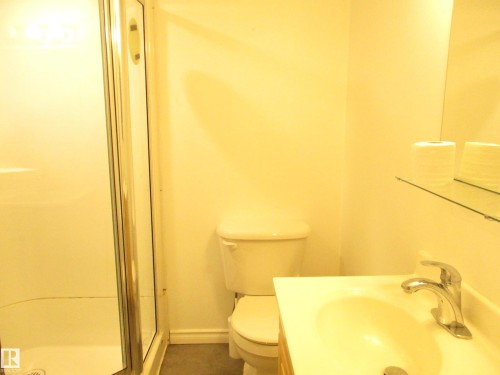 3 pc bathroom located in basement unit - 12115 64 Street Nw, Edmonton, AB - Indoor Photo Showing Bathroom