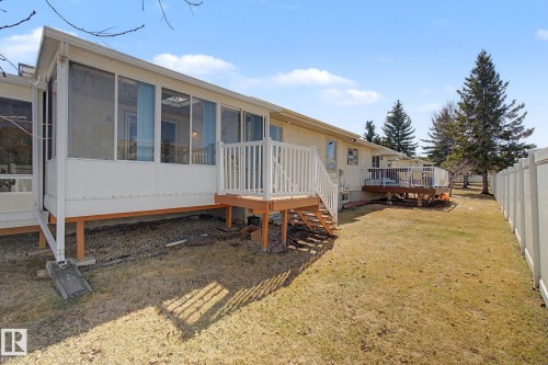Expansive backyard featuring a screened-in porch with multiple windows, a wood-finish deck with white railings, and mature evergreen trees - 1542 54 Street, Edmonton, AB - Outdoor