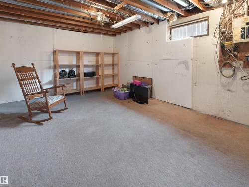 12335 25 Avenue, Edmonton, AB - Indoor Photo Showing Basement