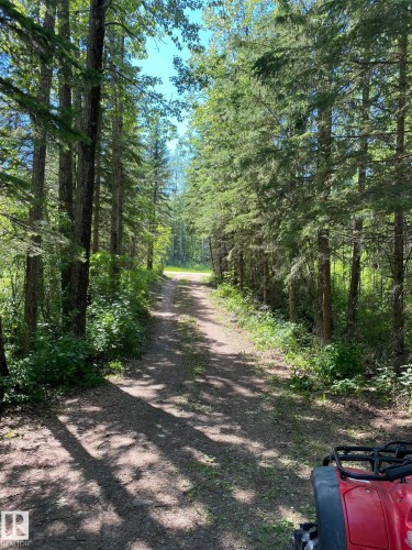 Wooded property featuring a gravel path framed by mature evergreen and deciduous trees - 650031 Range Road 185, Rural Athabasca County, AB 