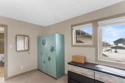 Carpeted room featuring two windows with roller blinds, neutral wall paint, and white trim - 