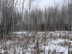 Lot 53 231054  Rural Athabasca County, AB T0G 1Z0