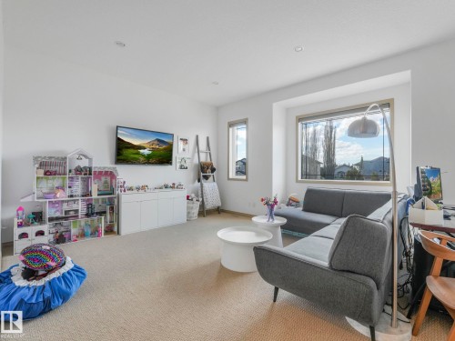 Large Bonus Room with heigh ceilings and lots of natural light - 8723 207 Street Nw, Edmonton, AB - Indoor