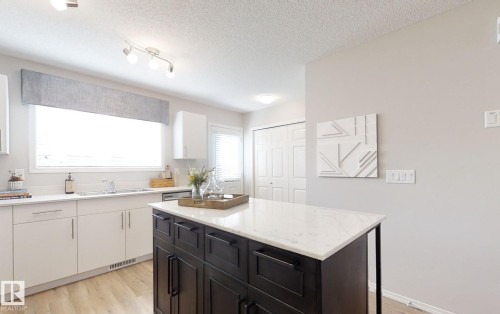 1609 210A Street, Edmonton, AB - Indoor Photo Showing Kitchen With Double Sink