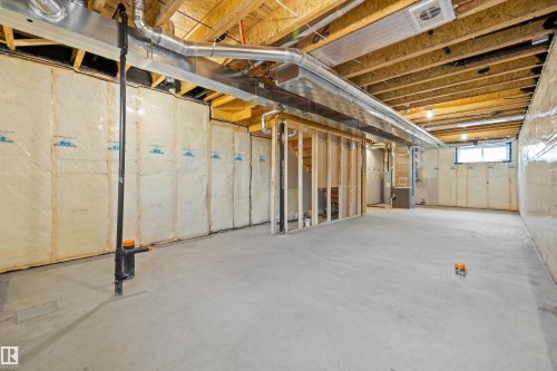 1613 210A Street Nw, Edmonton, AB - Indoor Photo Showing Basement