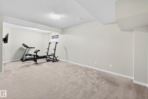 3233 21A Avenue, Edmonton, AB - Indoor Photo Showing Gym Room