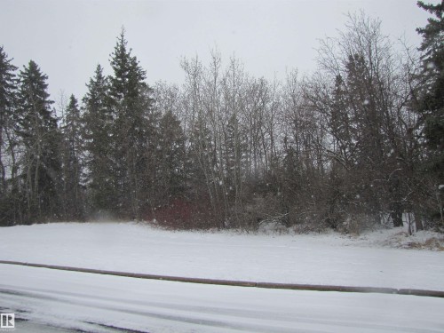 Image quality insufficient for description - 7135 87 Street, Edmonton, AB - Outdoor With View