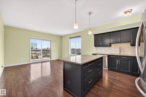 413 10530 56 Avenue, Edmonton, AB - Indoor Photo Showing Kitchen