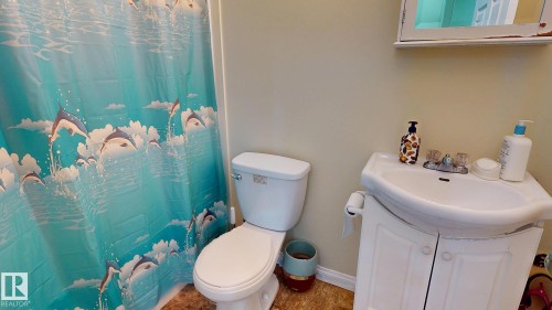 11844 125 Street, Edmonton, AB - Indoor Photo Showing Bathroom