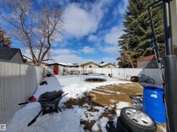 Expansive backyard featuring a chain-link fence, a mature evergreen tree, and a shed with a red door - 