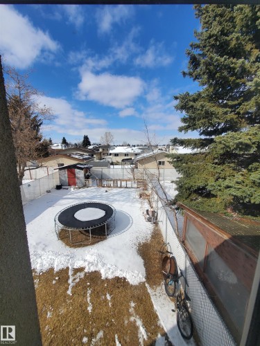 Spacious backyard featuring a chain-link fence, mature evergreen trees, and partial snow coverage - 11814 157 Avenue, Edmonton, AB - Outdoor With View