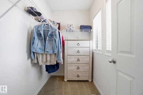 The property includes a closet with carpeted flooring, white walls, and a window for natural light - 2553 Coughlan Road, Edmonton, AB - Indoor With Storage