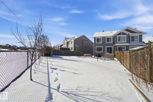 Spacious rear yard with a chain link fence, mature trees, and a private wooden fence - 2553 Coughlan Road, Edmonton, AB - Outdoor