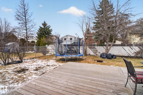 Expansive backyard featuring a large wooden deck, mature trees, and a chain-link fence - 18604 97A Avenue, Edmonton, AB - Outdoor With Deck Patio Veranda