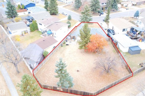 Expansive fenced yard with mature trees - 4203 83 Street, Edmonton, AB - Outdoor With View