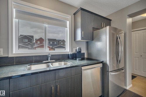 419 Simpkins Link, Leduc, AB - Indoor Photo Showing Kitchen With Double Sink