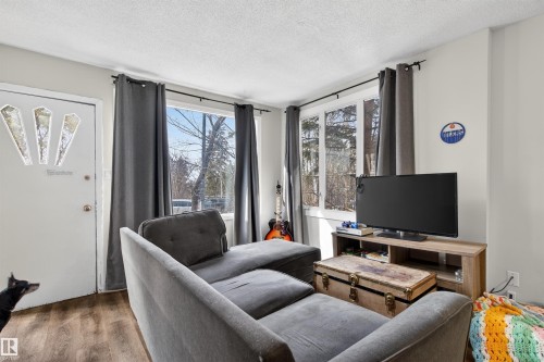 9205 99 Street, Edmonton, AB - Indoor Photo Showing Living Room