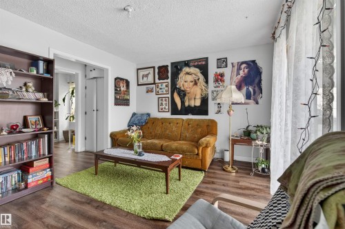 9205 99 Street, Edmonton, AB - Indoor Photo Showing Living Room
