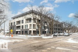 317 11503 76 Avenue  Edmonton, AB T6G 0K6