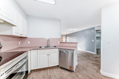 112 11716 100 Avenue, Edmonton, AB - Indoor Photo Showing Kitchen With Double Sink