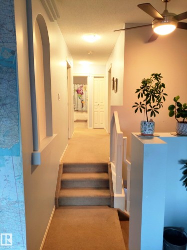 Carpeted staircase and hallway featuring a ceiling fan with integrated lighting, recessed lighting, and a decorative arched wall niche - 59 Rue Monette, Beaumont, AB - Indoor Photo Showing Other Room