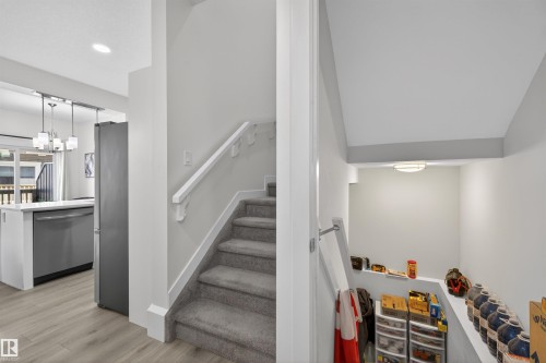Carpeted staircase with white handrails leading to an upper level - 51 603 Orchards Boulevard Sw, Edmonton, AB - Indoor