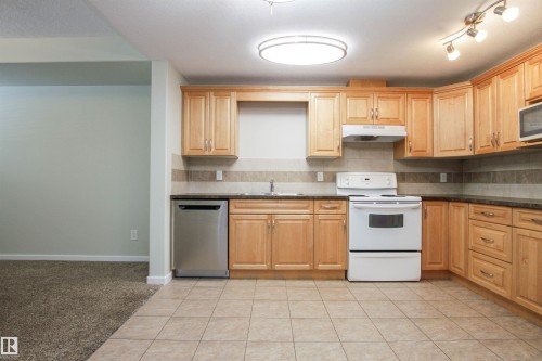 3 11827 105 Street, Edmonton, AB - Indoor Photo Showing Kitchen With Double Sink