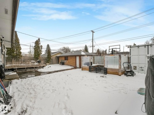Fenced backyard featuring a wood deck, mature evergreen trees, and a brick exterior garage. - 7607 70 Avenue, Edmonton, AB 