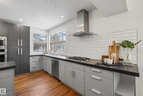 8860 93 Street, Edmonton, AB - Indoor Photo Showing Kitchen With Upgraded Kitchen