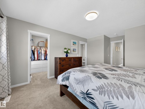 Bedroom featuring light gray walls and beige carpeting - 323 Balsam Link, Leduc, AB - Indoor Photo Showing Bedroom