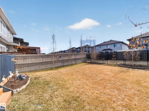 Expansive backyard featuring a partial wood fence, a black metal fence with gate, and defined planting beds - 323 Balsam Link, Leduc, AB - Outdoor