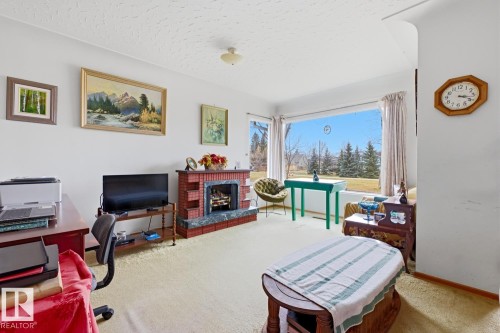 9745 68 Avenue, Edmonton, AB - Indoor With Fireplace