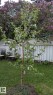 11724 88 Street, Edmonton, AB  - Outdoor 