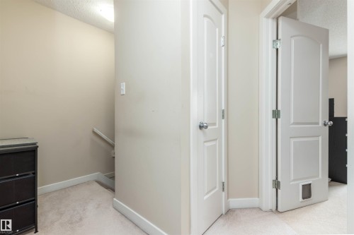 29 12004 22 Avenue Sw, Edmonton, AB - Indoor Photo Showing Other Room