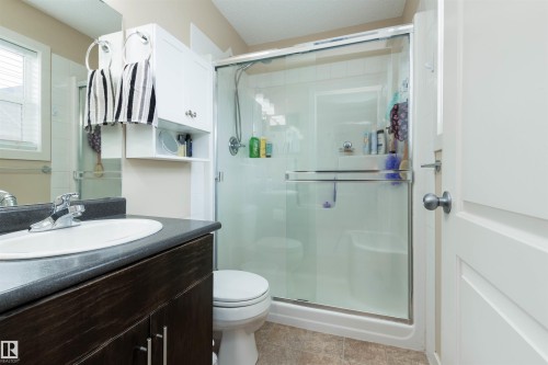 29 12004 22 Avenue Sw, Edmonton, AB - Indoor Photo Showing Bathroom