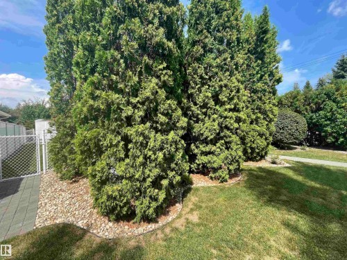 11 Madison Avenue, St. Albert, AB - Outdoor