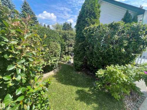 11 Madison Avenue, St. Albert, AB - Outdoor