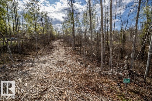 Wooded lot featuring a natural path, mature trees, and existing foliage - 513, 11131 Twp Rd 600, Rural St. Paul County, AB 