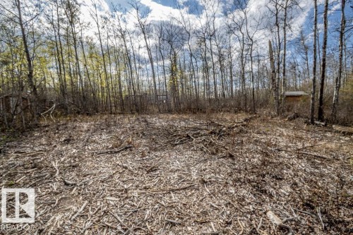Open wooded lot featuring a cleared central area, numerous deciduous trees, and a distant small structure - 513, 11131 Twp Rd 600, Rural St. Paul County, AB 